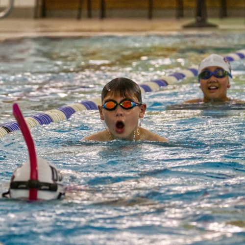 Young swimmer doing backstroke